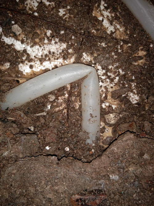 岱山堵点精准查找